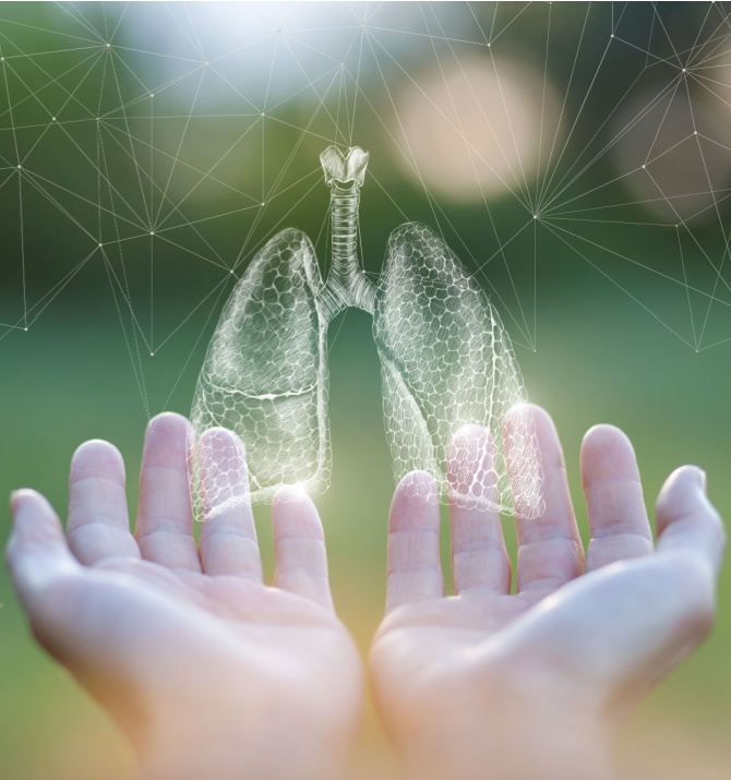 Hands show lungs on blurred green background.
