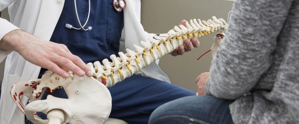 Experienced chiropractor showing spinal issues on a model skeleton