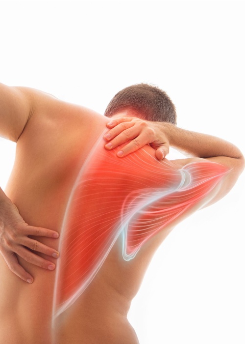 Upper back pain, male body torso back view