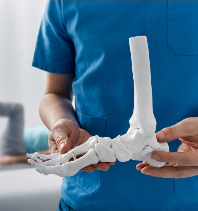 Podiatrist showing anatomical foot skeleton